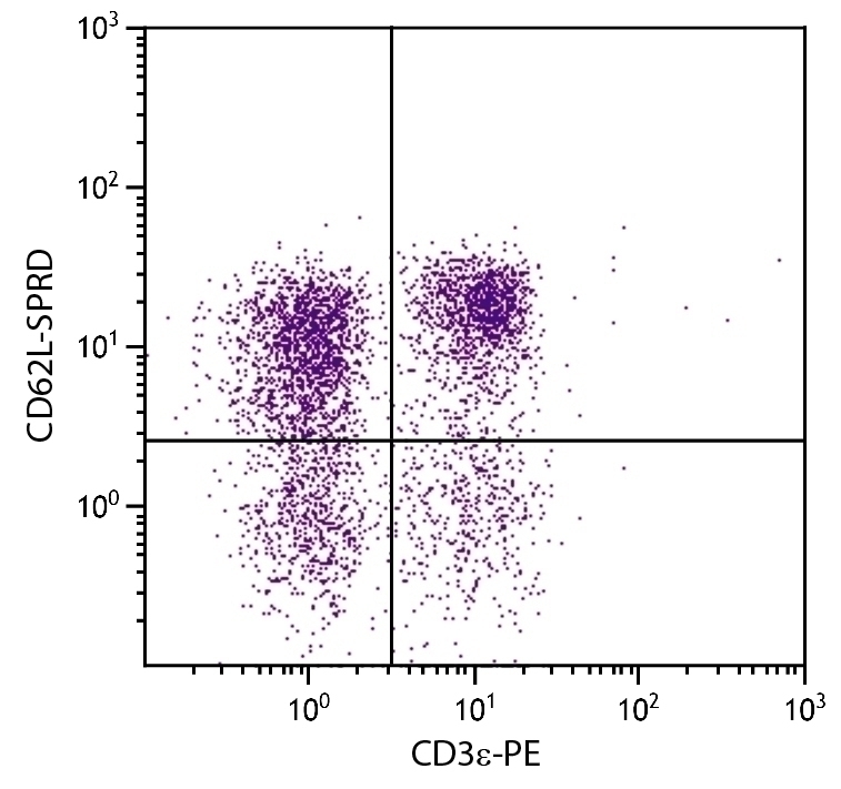 CD62L Antibody [MEL-14] (PE-Cy5)
