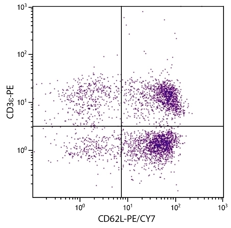 CD62L Antibody [MEL-14] (PE-Cy7)