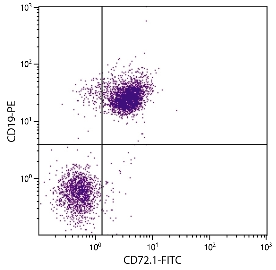 CD72.1 Antibody [10.1.D2] (FITC)
