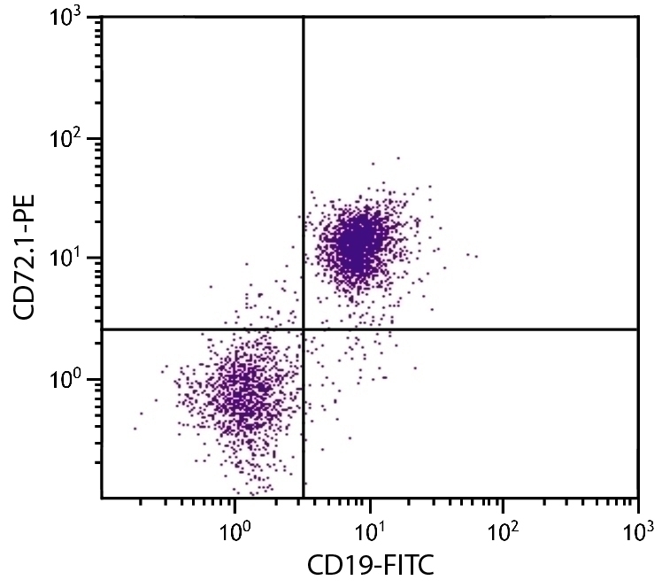 CD72.1 Antibody [10.1.D2] (PE)