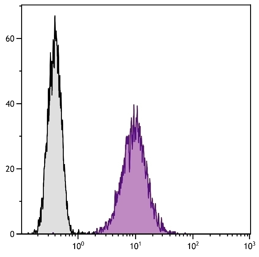 CD80 Antibody [1G10] (FITC)