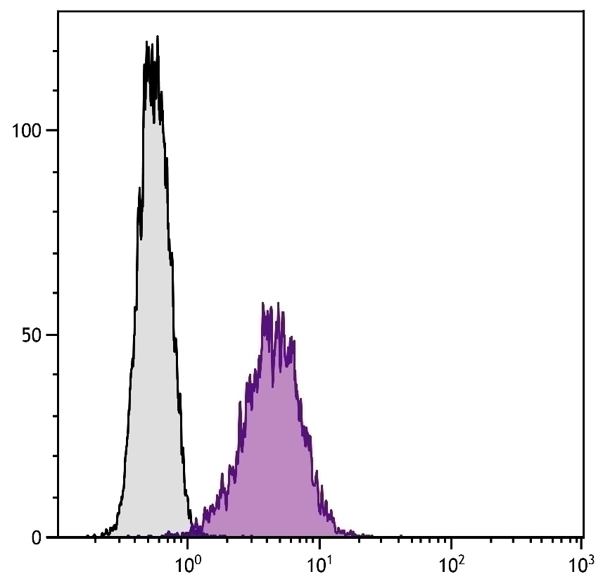 CD80 Antibody [1G10] (Biotin)