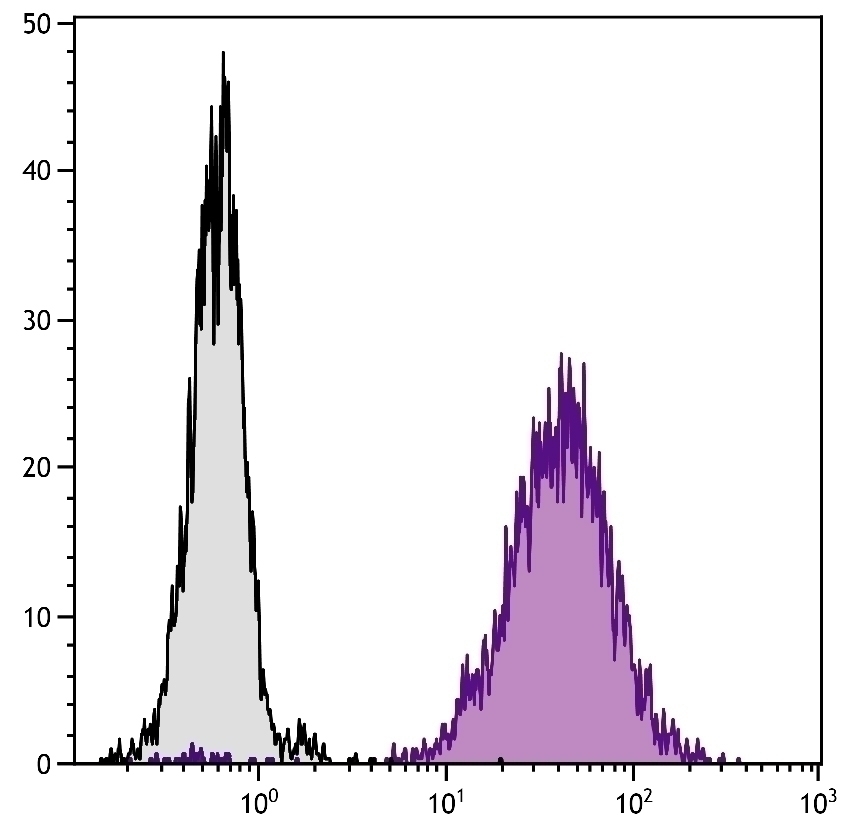 CD80 Antibody [1G10] (PE)