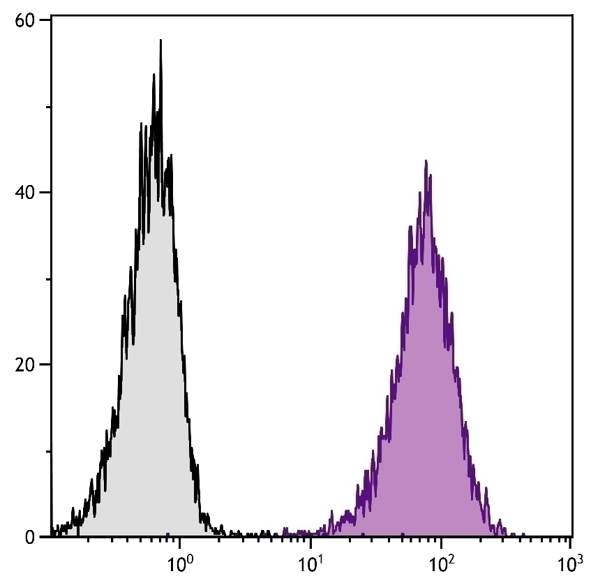 CD80 Antibody [1G10] (APC)
