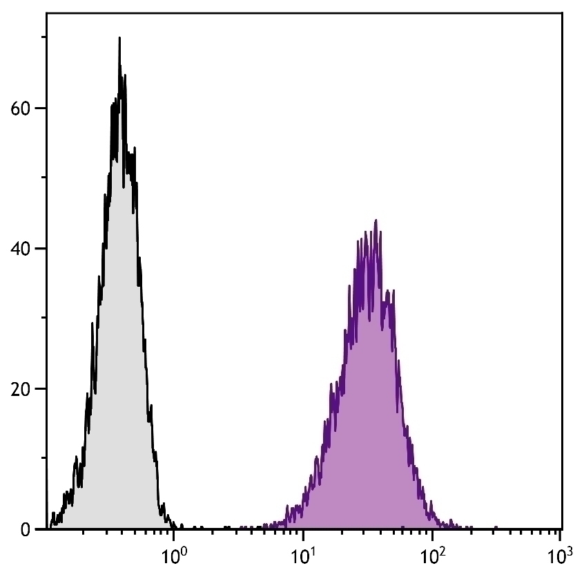 CD80 Antibody [1G10] (PE-Cy5)