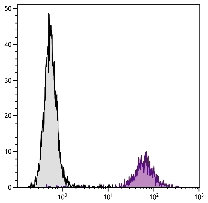 CD86 Antibody [GL1] (FITC)