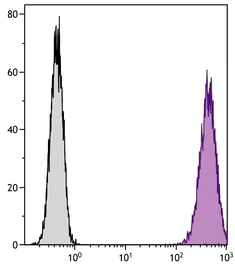 CD86 Antibody [GL1] (PE)