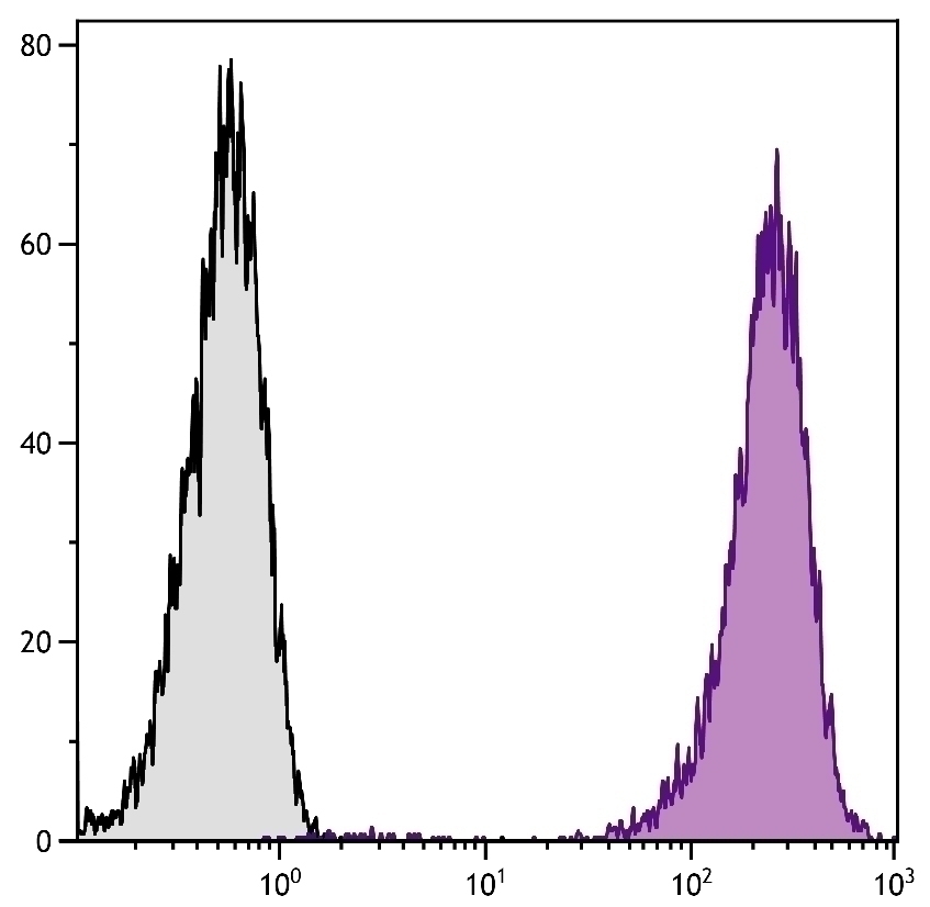 CD86 Antibody [GL1] (APC)