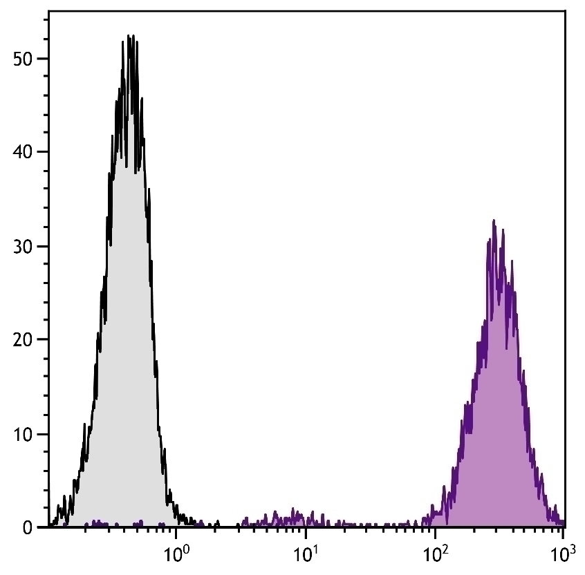 CD86 Antibody [GL1] (PE-Cy5)