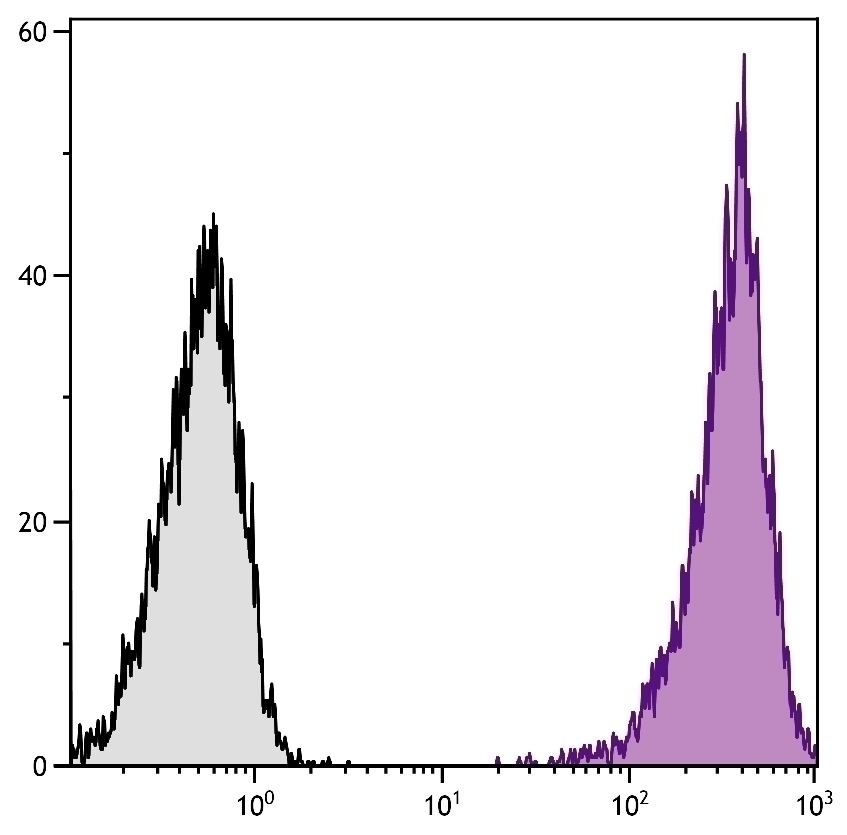 CD86 Antibody [GL1] (PE-Cy7)