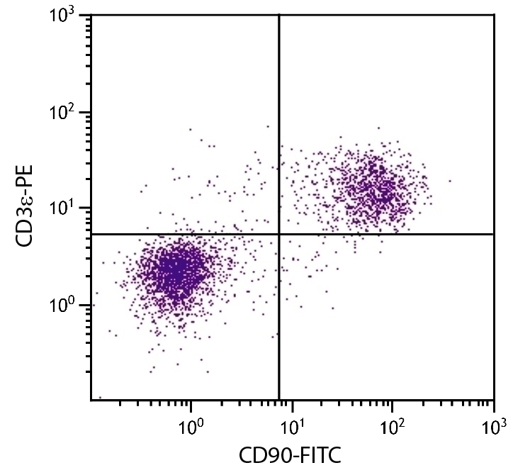 CD90 Antibody [G7] (FITC)