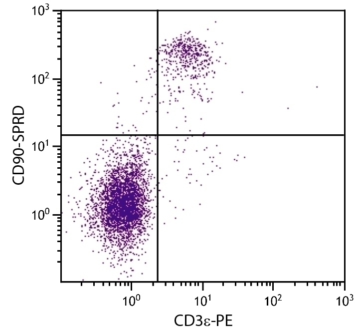 CD90 Antibody [G7] (PE-Cy5)