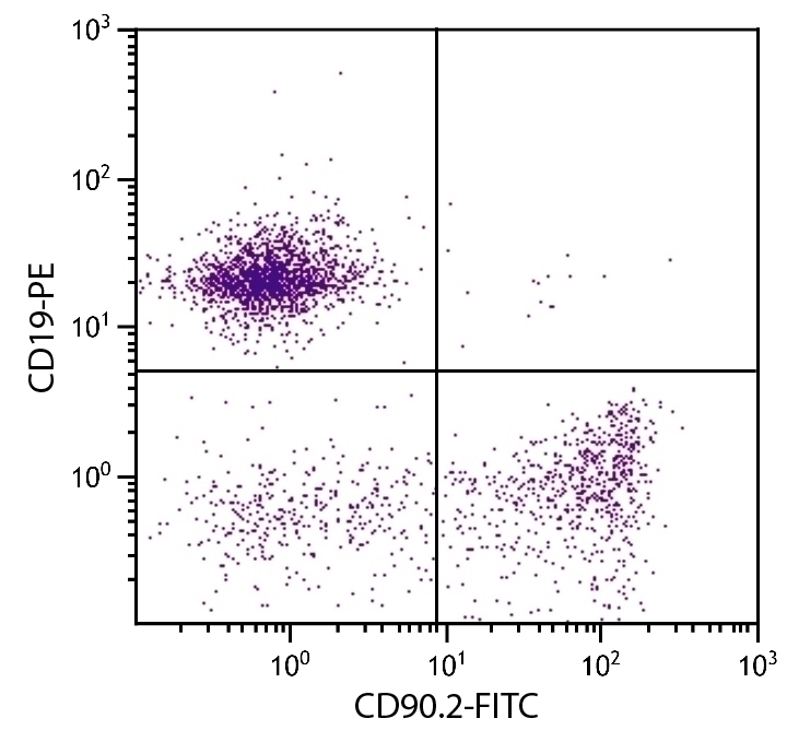 CD90.2 Antibody [30-H12] (FITC)