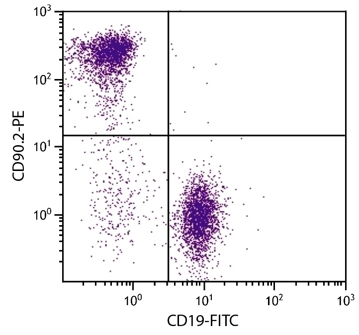 CD90.2 Antibody [30-H12] (PE)