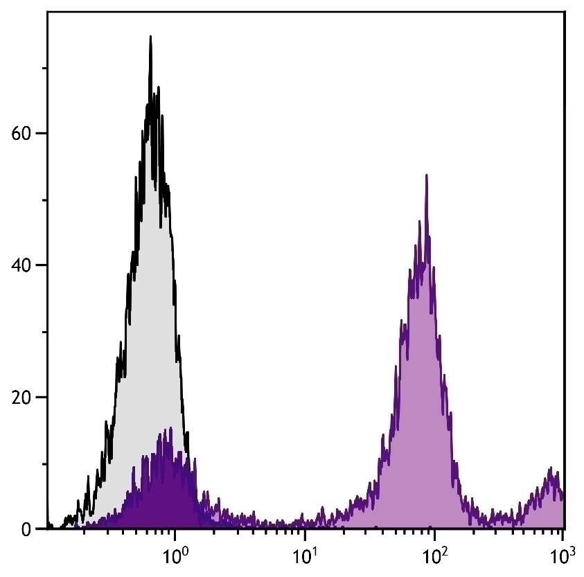 Ly-6C Antibody [HK1.4] (PE)