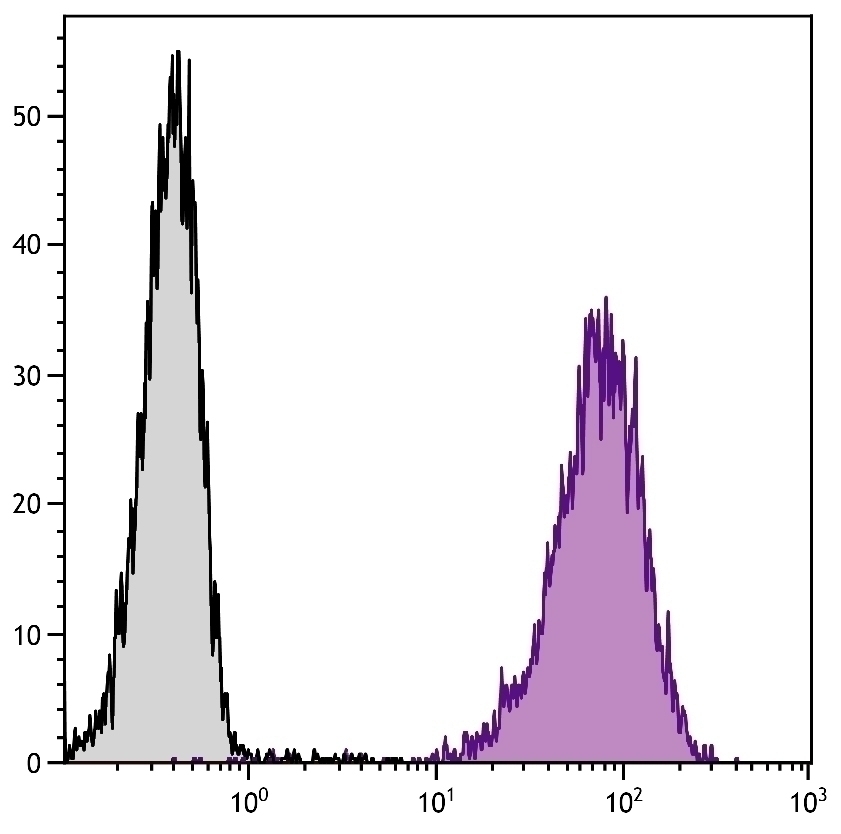 BP-1 Antibody [FG35.4] (PE)