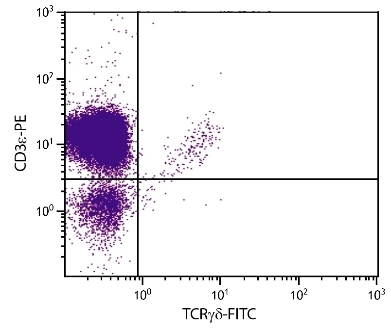 TCR gamma delta Antibody [UC7-13D5] (FITC)