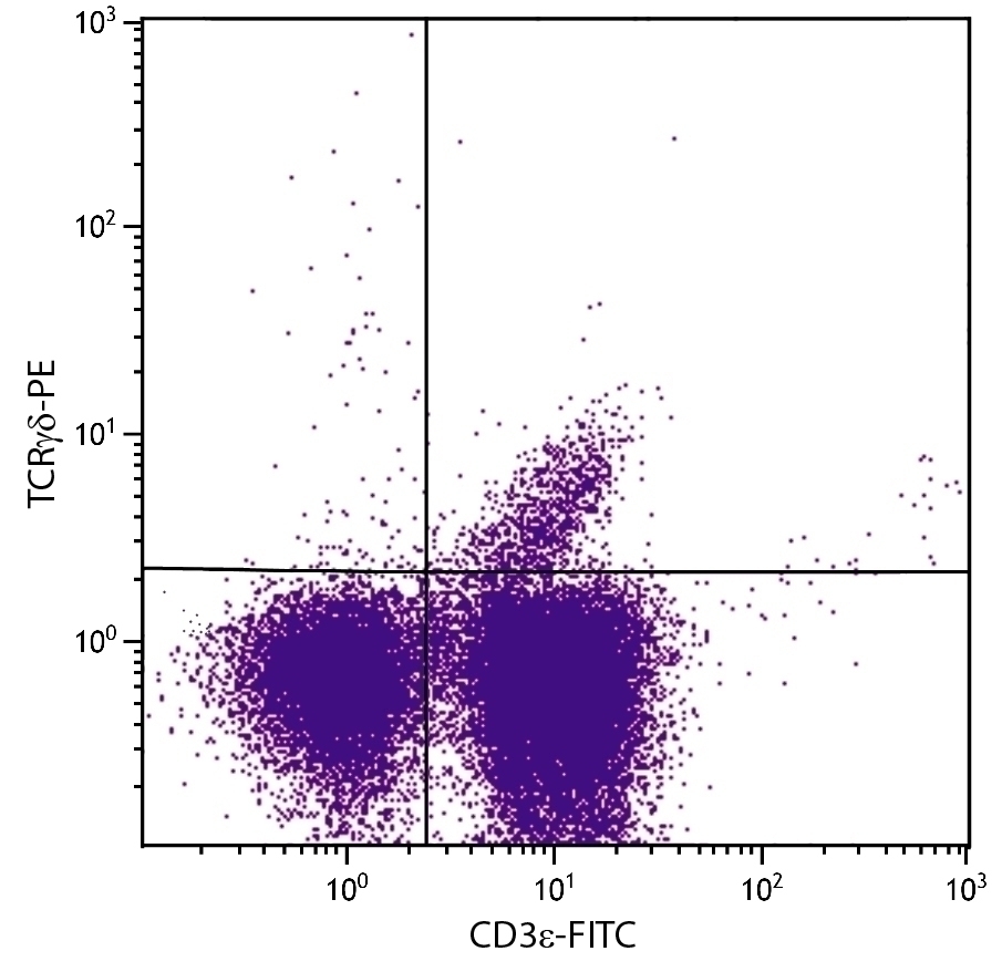 TCR gamma delta Antibody [UC7-13D5] (PE)