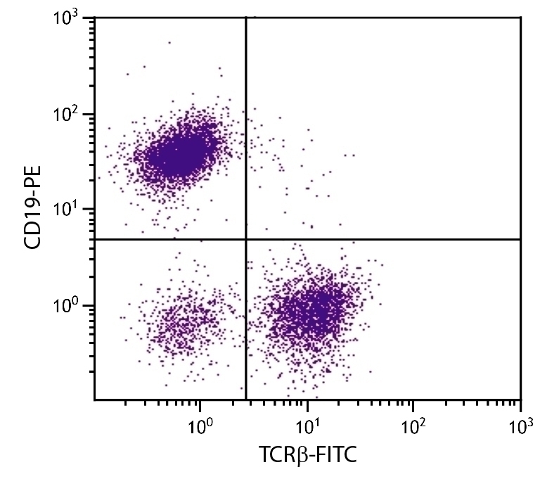 TCR beta Antibody [H57-597] (FITC)