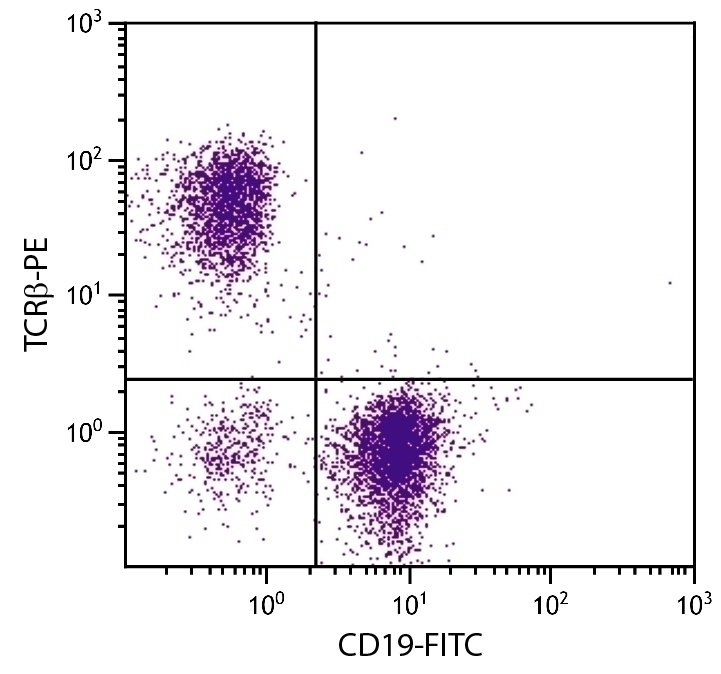 TCR beta Antibody [H57-597] (PE)