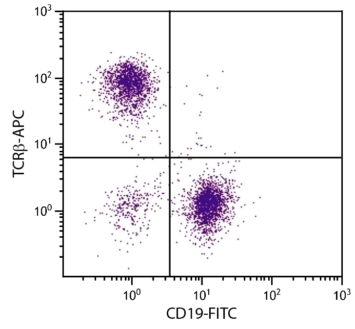 TCR beta Antibody [H57-597] (APC)