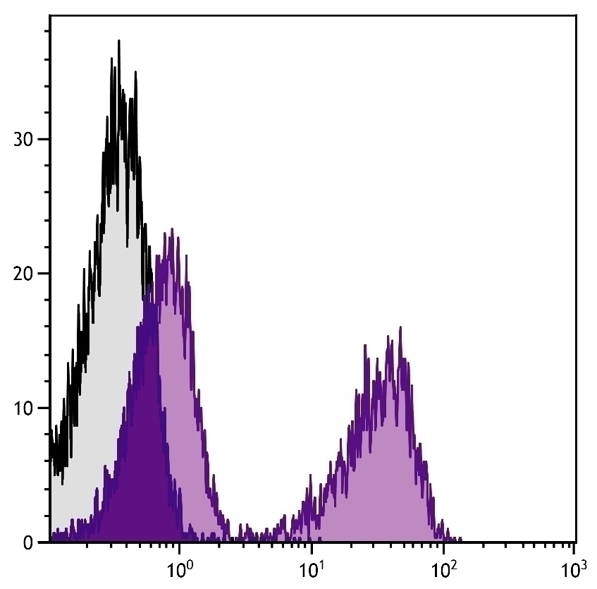 TCR beta Antibody [H57-597] (PE-Cy5)