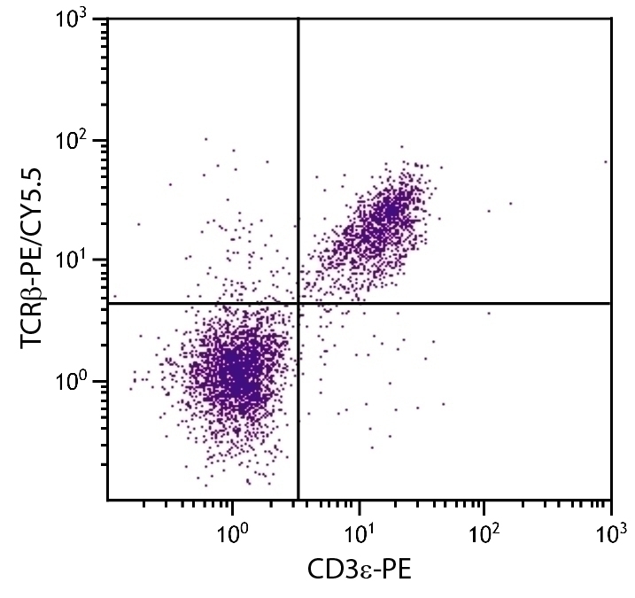 TCR beta Antibody [H57-597] (PE-Cy5.5)
