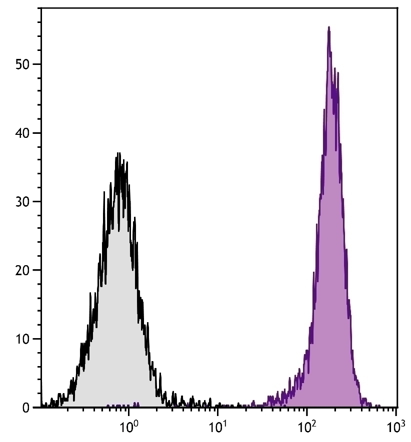 CD45.1 Antibody [A20]