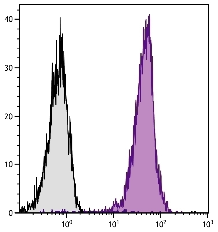 CD45.1 Antibody [A20] (APC-Cy7)