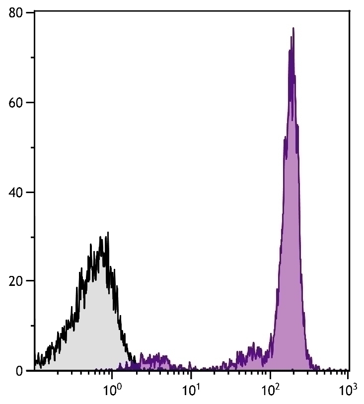 CD45.2 Antibody [104] (PE-Cy7)