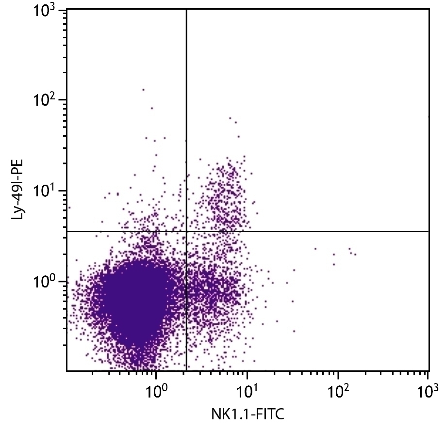 Ly-49I Antibody [YLI-90] (PE)
