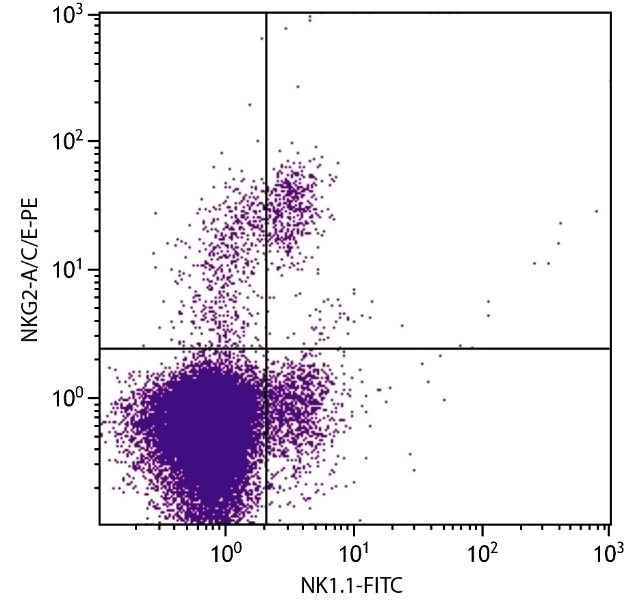 NKG2-A/C/E Antibody [20d5] (PE)