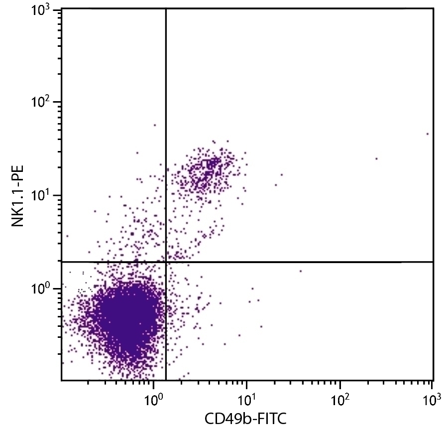 NK1.1 Antibody [PK136] (PE)