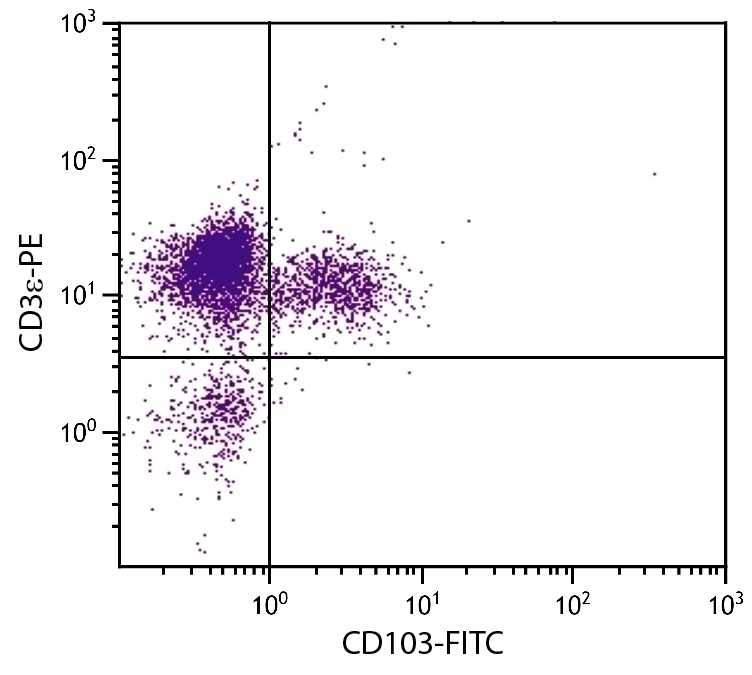 CD103 Antibody [2E7] (FITC)