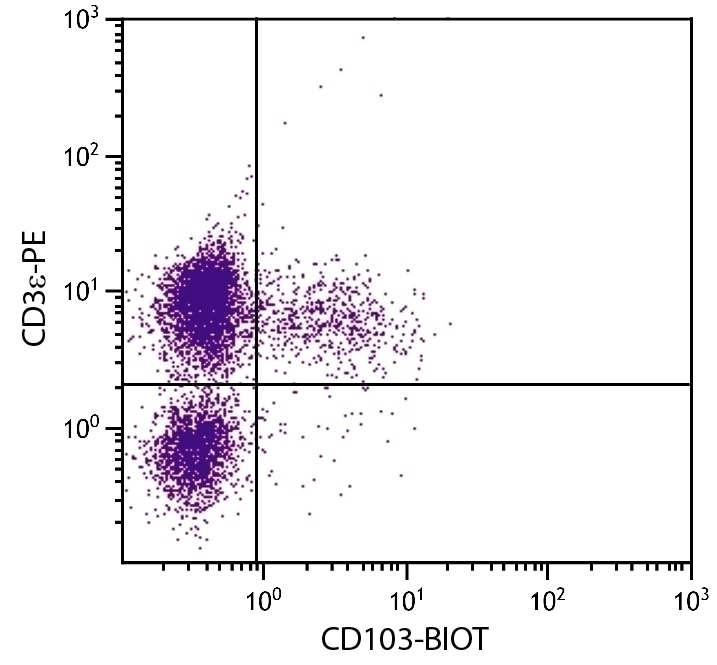 CD103 Antibody [2E7] (Biotin)