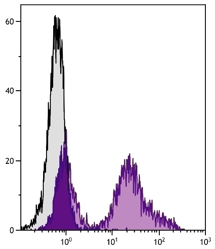 CD24 Antibody [30-F1]