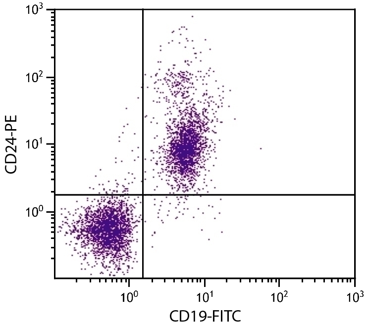 CD24 Antibody [30-F1] (PE)