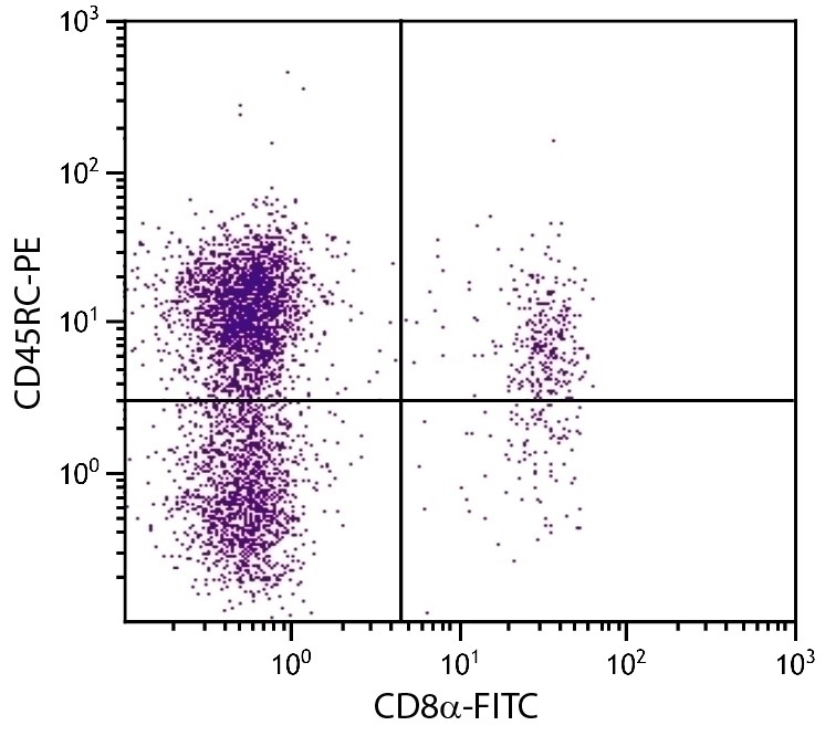CD45RC Antibody [C455.1F] (PE)