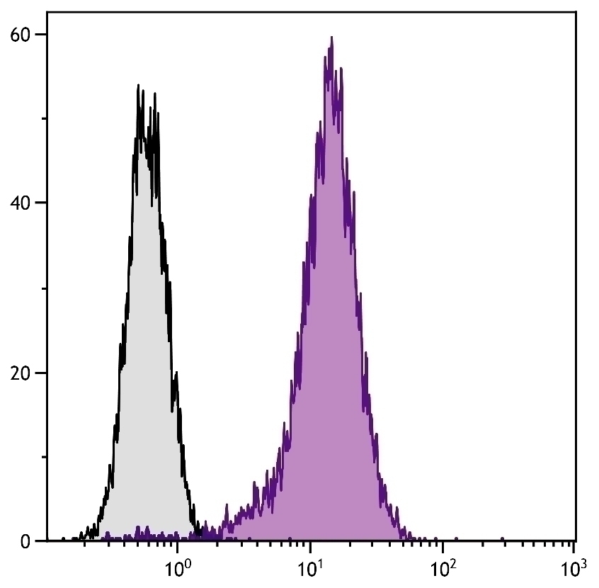 CD81 Antibody [2F7] (PE)