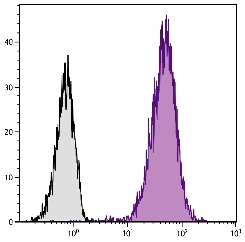 CD81 Antibody [2F7] (APC)