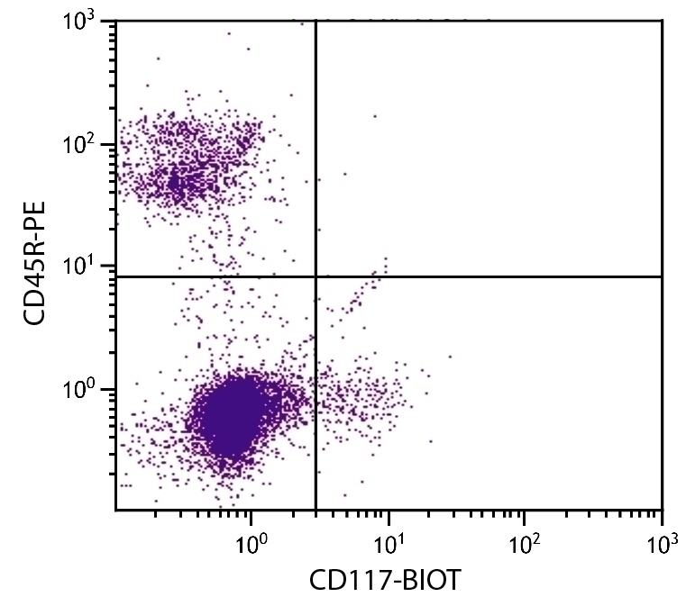 CD117 Antibody [2B8] (Biotin)