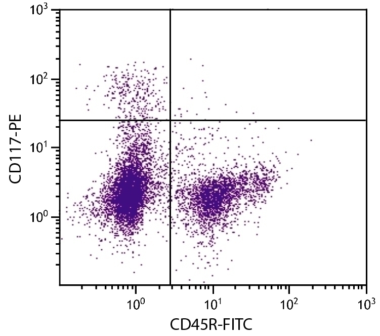 CD117 Antibody [3C1] (PE)