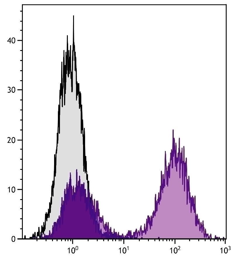 MHC Class II Antibody [NIMR-4]