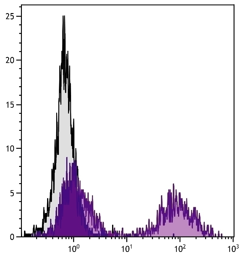 MHC Class II Antibody [NIMR-4] (FITC)