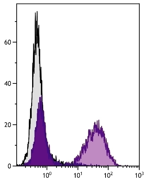 MHC Class II Antibody [NIMR-4] (Biotin)