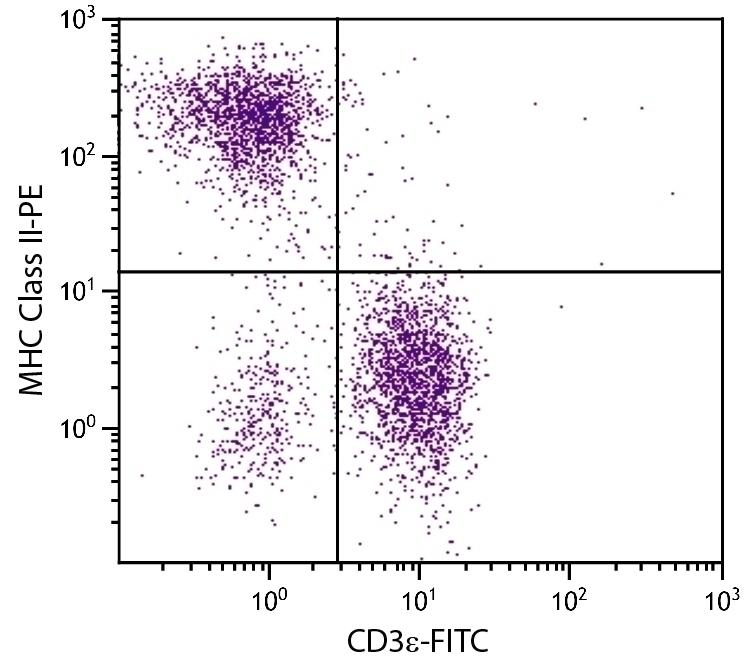 MHC Class II Antibody [NIMR-4] (PE)