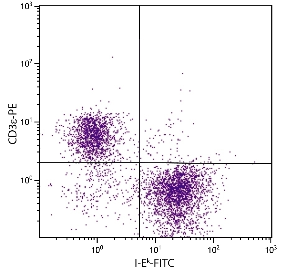 I-Ek Antibody [14-4-4S] (FITC)