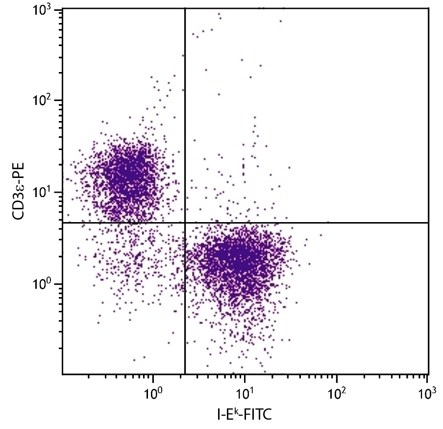 I-Ek Antibody [17-3-3] (FITC)