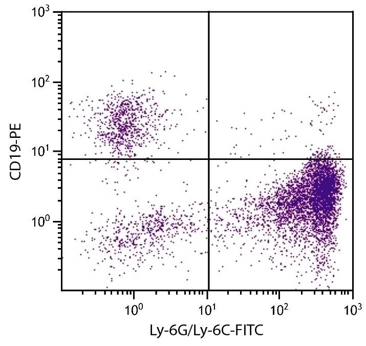 Ly-6G/Ly-6C Antibody [RB6-8C5] (FITC)