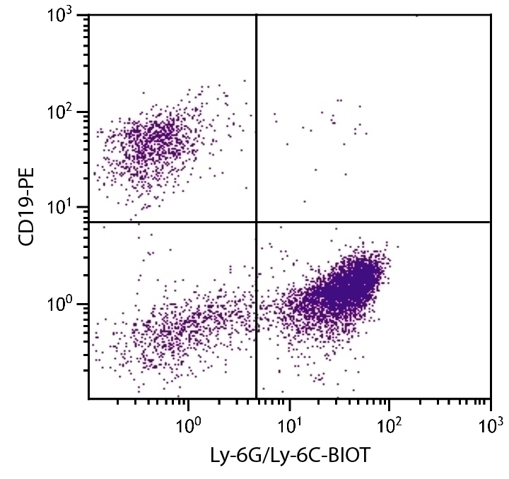 Ly-6G/Ly-6C Antibody [RB6-8C5] (Biotin)